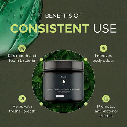 Herbal gel food supplement for bad breath